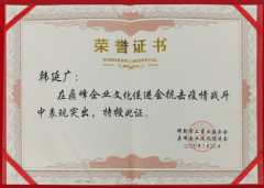 抗擊疫情榮譽(yù)證書